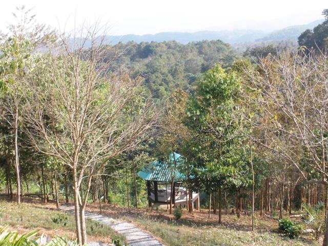 Tafelberg Detached With Swimming Pool Homestay Chiang Rai