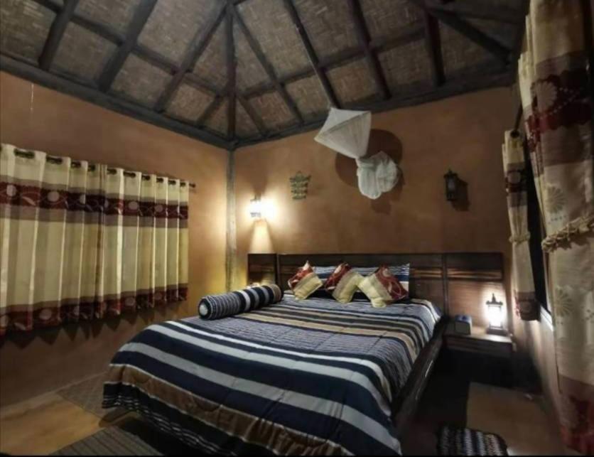 Homestay Tafelberg Detached With Swimming Pool *