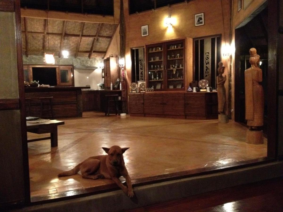 Tafelberg Detached With Swimming Pool Homestay