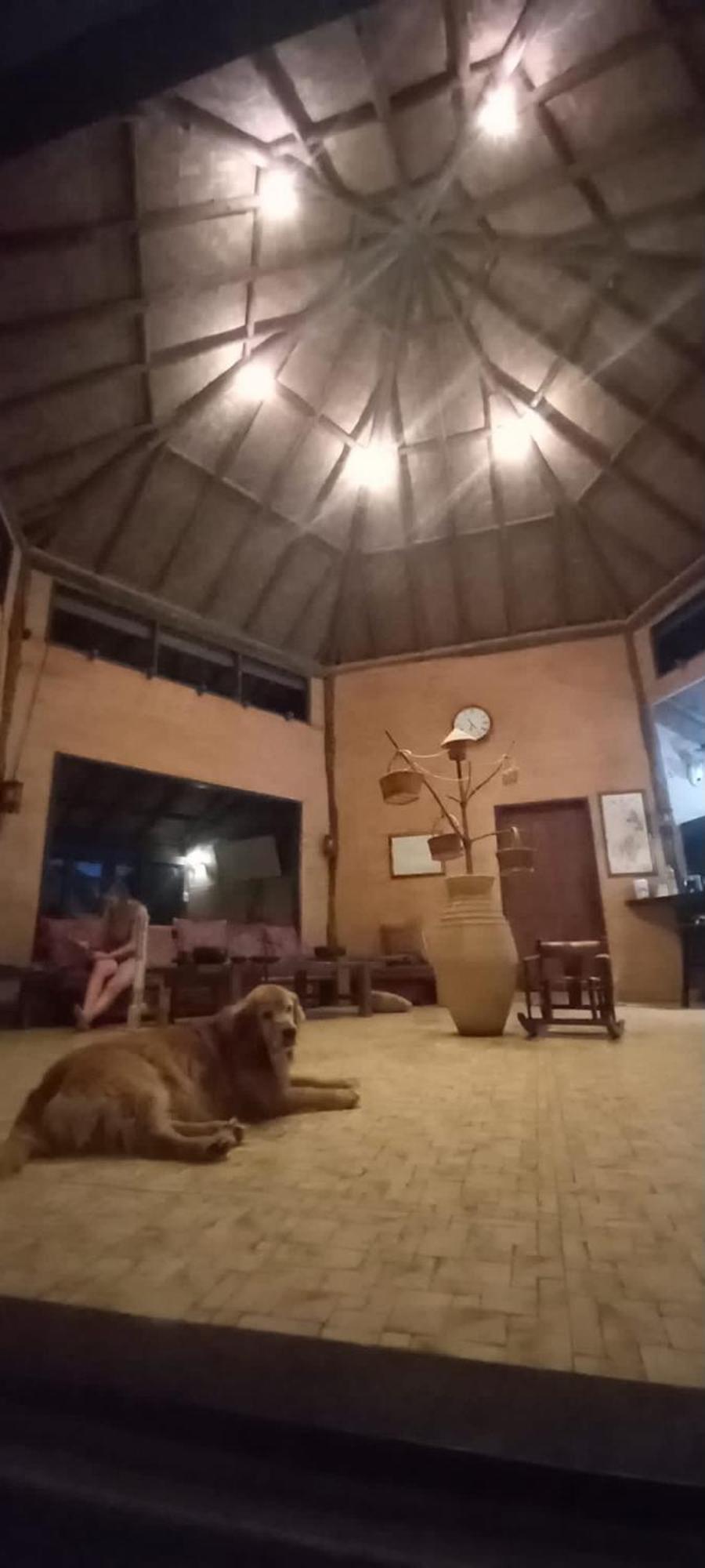 Tafelberg Detached With Swimming Pool Homestay Chiang Rai